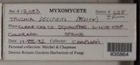 Image Associated With the Occurence